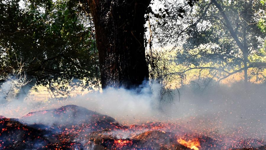 O investigador constatou o aumento significativo na velocidade de propagación por causa da redución da humidade dos combustibles asociada ao aumento da temperatura. FOTO: Santi Alvite O investigador constatou o aumento significativo na velocidade de propagación por causa da redución da humidade dos combustibles asociada ao aumento da temperatura. FOTO: Santi Alvite