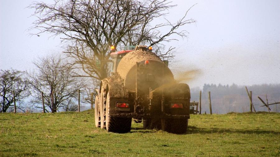 A investigación caracteriza o valor agronómicos dos xurros e avalía os riscos do seu uso. Foto: Pixabay A investigación caracteriza o valor agronómicos dos xurros e avalía os riscos do seu uso. Foto: Pixabay