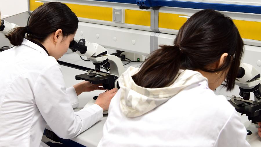 Un dos aspectos avaliados é a calidade da investigación. Imaxe de arquivo dun laboratorio da USC. FOTO: Santi Alvite Un dos aspectos avaliados é a calidade da investigación. Imaxe de arquivo dun laboratorio da USC. FOTO: Santi Alvite