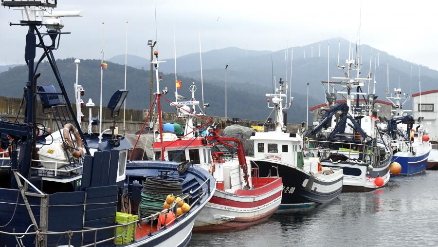 O taller contará con 45 participantes de organizacións nacionais e rexionais da pesca de pequena escala. FOTO: Santi Alvite O taller contará con 45 participantes de organizacións nacionais e rexionais da pesca de pequena escala. FOTO: Santi Alvite