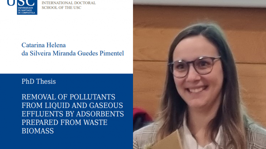PhD Defense of Catarina Helena Da Silveira Miranda Guedes Pimentel