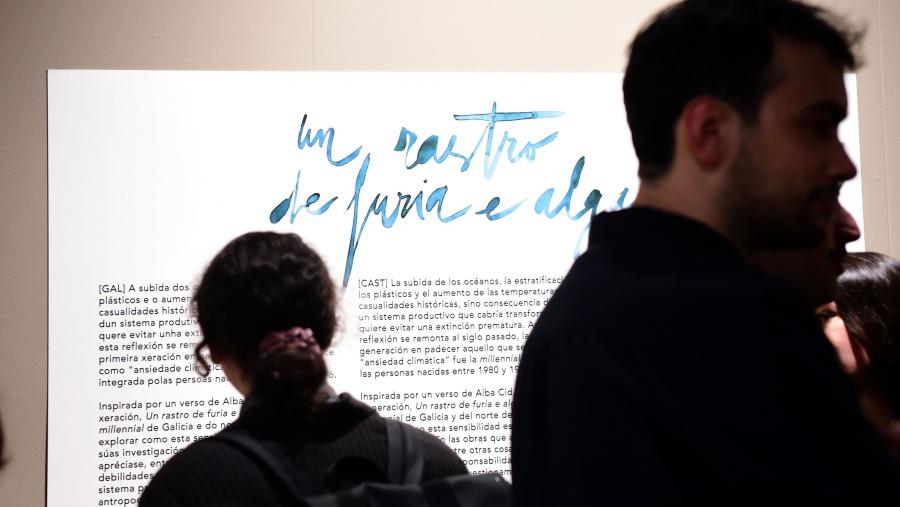 A mostra de Fonseca acolle artistas do Norte de Portugal e Galicia. FOTO: Santi Alvite A mostra de Fonseca acolle artistas do Norte de Portugal e Galicia. FOTO: Santi Alvite