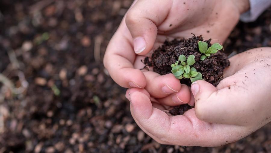 O informe pide “unha acción global de emerxencia” para conseguir un “futuro próspero e sostible”. FOTO: Pixabay O informe pide “unha acción global de emerxencia” para conseguir un “futuro próspero e sostible”. FOTO: Pixabay