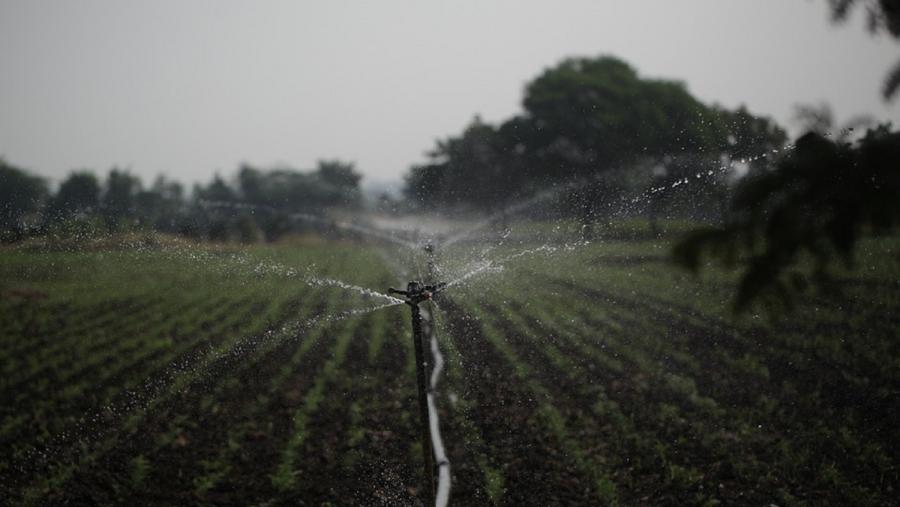 O consumo de auga en usos agrícolas será unha das cuestións abordadas nas sesións O consumo de auga en usos agrícolas será unha das cuestións abordadas nas sesións
