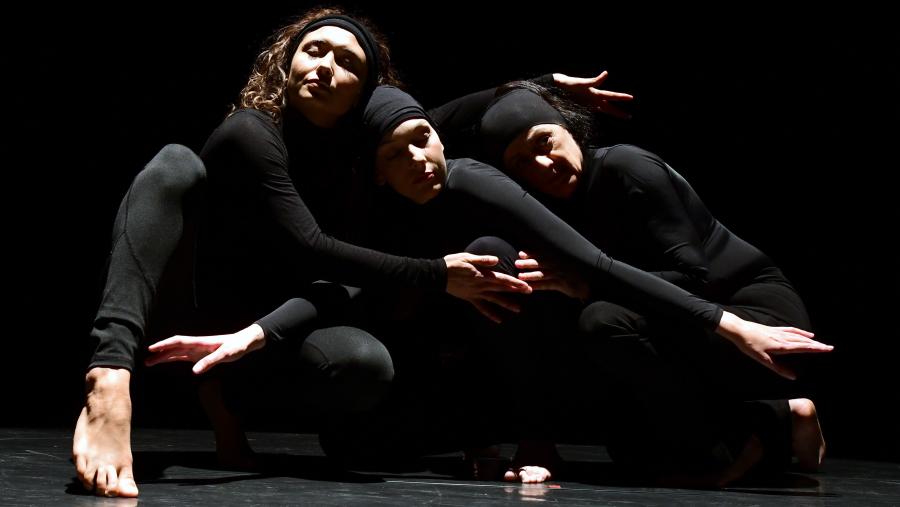 O encontro de Danza da USC chegará a Lugo entre os días 25 e 26 de abril, mentres que en Compostela terá lugar do 15 ao 16 do mesmo mes. FOTO: Santi Alvite O encontro de Danza da USC chegará a Lugo entre os días 25 e 26 de abril, mentres que en Compostela terá lugar do 15 ao 16 do mesmo mes. FOTO: Santi Alvite