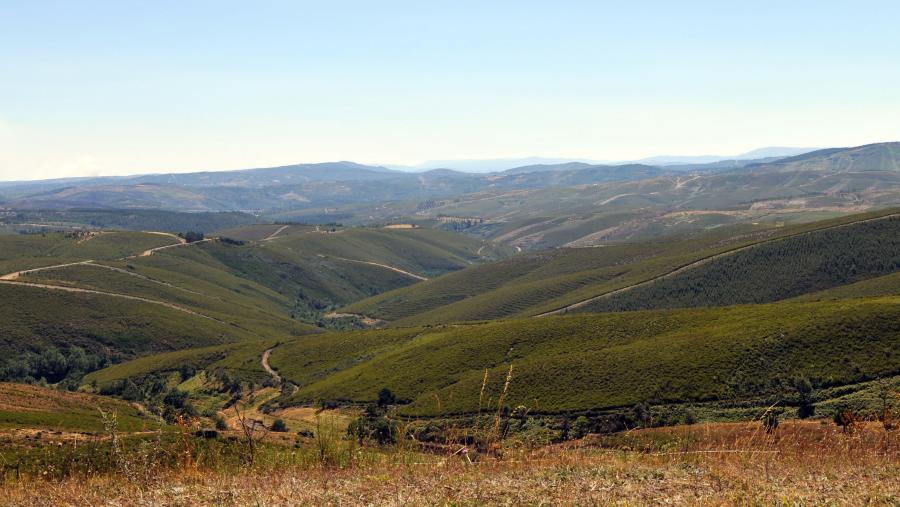 O consorcio tamén tratará o fomento da cohesión social e a gobernanza participativa na xestión forestal sostible. FOTO: Santi Alvite O consorcio tamén tratará o fomento da cohesión social e a gobernanza participativa na xestión forestal sostible. FOTO: Santi Alvite