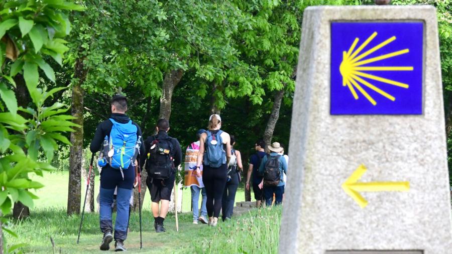 Un grupo de persoas peregrinan a Compostela. FOTO: Santi Alvite Un grupo de persoas peregrinan a Compostela. FOTO: Santi Alvite