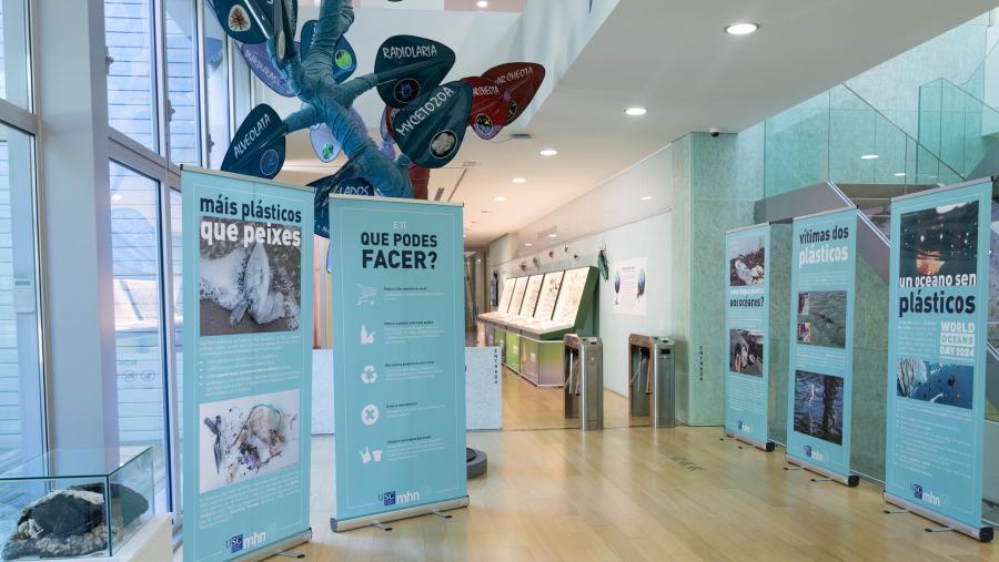 A mostra poderase ver ata finais de setembro A mostra poderase ver ata finais de setembro