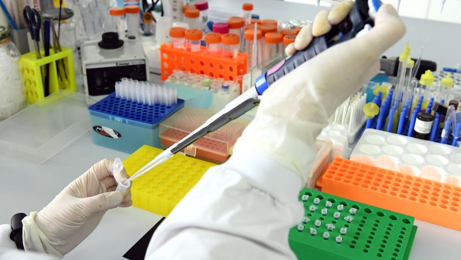 Un laboratorio da USC. FOTO: Santi Alvite Un laboratorio da USC. FOTO: Santi Alvite