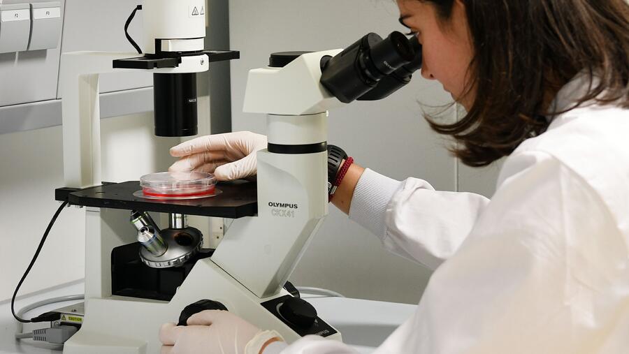 Microscopio nun laboratorio de investigación da USC. FOTO: Santi Alvite Microscopio nun laboratorio de investigación da USC. FOTO: Santi Alvite