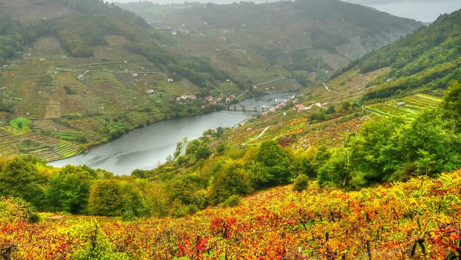 O premio recoñece iniciativas que contribúan ao desenvolvemento rural de Galicia. Foto: E. Crespo O premio recoñece iniciativas que contribúan ao desenvolvemento rural de Galicia. Foto: E. Crespo