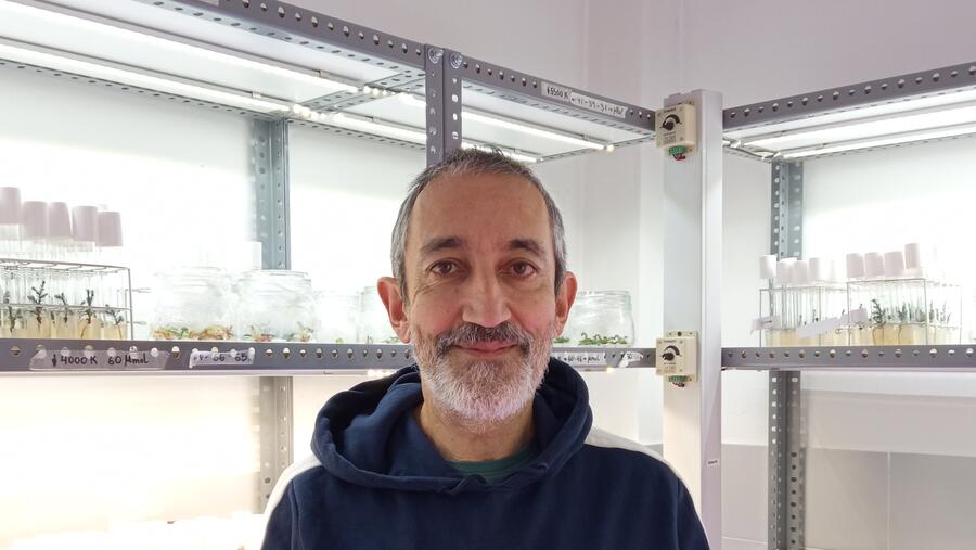 Juan Luis Fernández is a Professor in the Department of Plant Production and Engineering Projects at the Higher Polytechnic Engineering School on the Campus Terra
