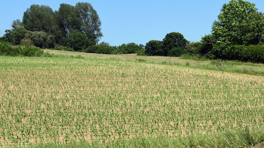 Imaxe de arquivo dunha paisaxe rural. FOTO: Santi Alvite Imaxe de arquivo dunha paisaxe rural. FOTO: Santi Alvite