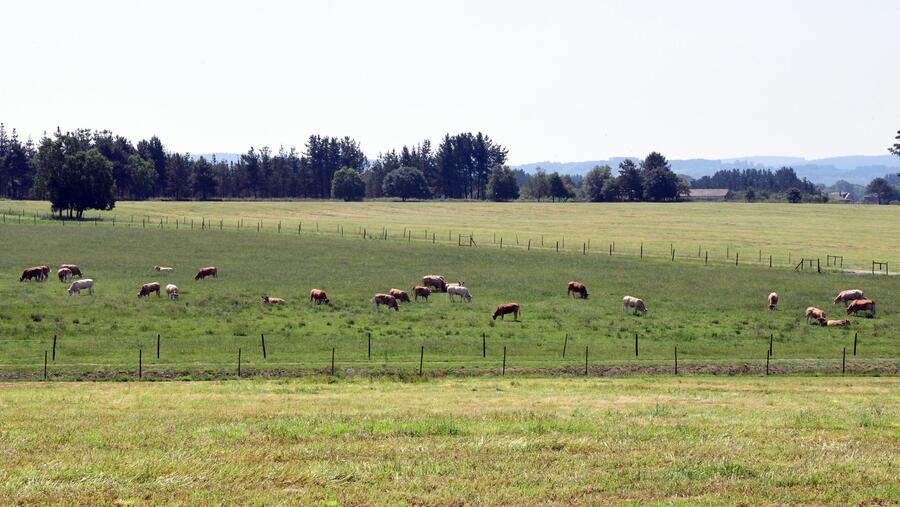 A actividade aborda adaptación ao cambio climático en sistemas agrarios. Imaxe de arquivo dunha pasisaxe rural lucense. FOTO: Santi Alvite A actividade aborda adaptación ao cambio climático en sistemas agrarios. Imaxe de arquivo dunha pasisaxe rural lucense. FOTO: Santi Alvite