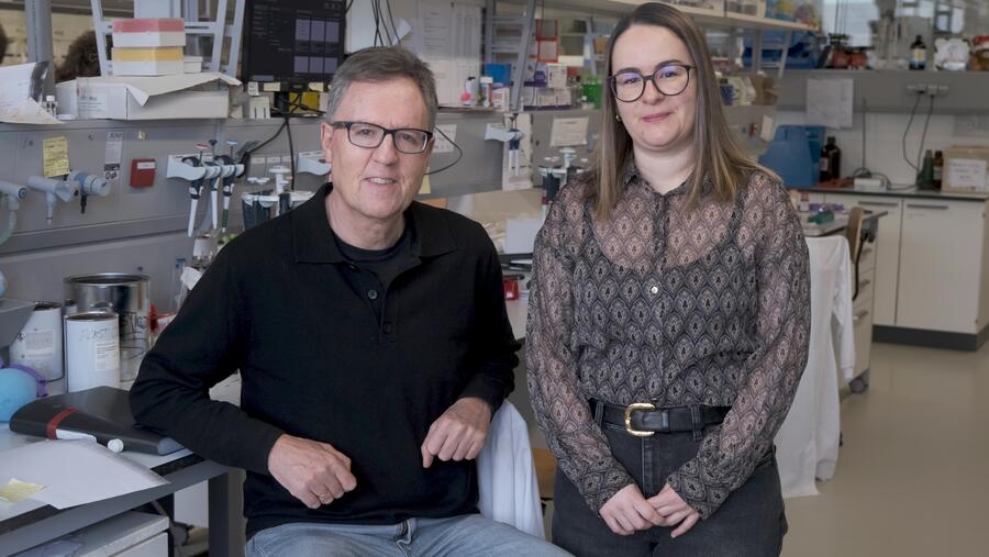 Foto O CiQUS lidera un proxecto do Consello Europeo de Innovación para desenvolver un novidoso axente anticancro