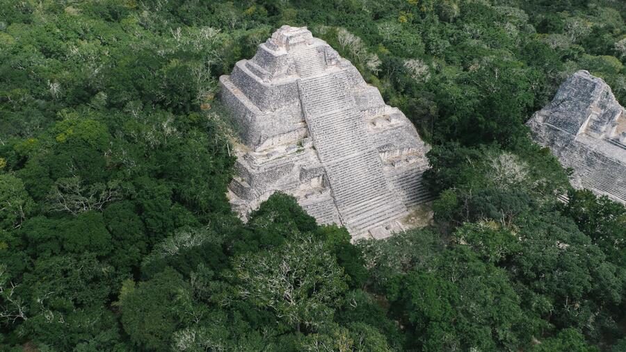 A Selva Maia é unha das zonas onde parece darse un maior atraso nas respostas dos bosques aos cambios climáticos. FOTO: Pexels A Selva Maia é unha das zonas onde parece darse un maior atraso nas respostas dos bosques aos cambios climáticos. FOTO: Pexels