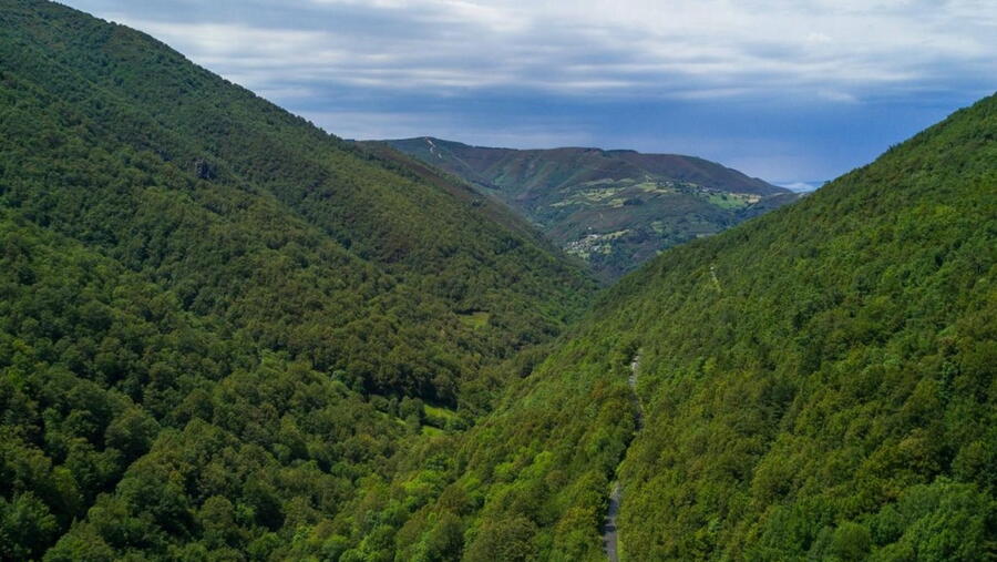 Os Ancares lucenses e montes de Navia, Cervantes e Becerreá. FOTO: https://patrimonionatural.xunta.gal/