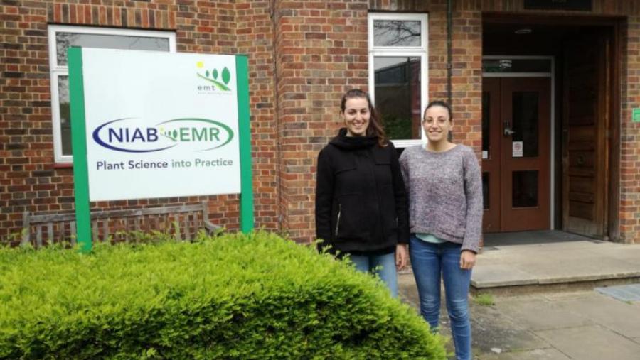 Rocío Losada e Marta Rodríguez, nas instalacións do instituto de investigación hortícola e agrícola de East Malling, no condado británico de Kent Rocío Losada e Marta Rodríguez, nas instalacións do instituto de investigación hortícola e agrícola de East Malling, no condado británico de Kent