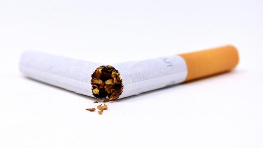 O novo traballo acaba de saír publicado na revista Plos One. Foto: Pixabay