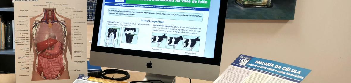 Esenciais