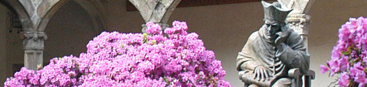 EUniWell foto